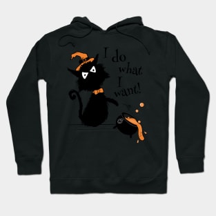 Halloween Black Cat - I Do What I Want Hoodie